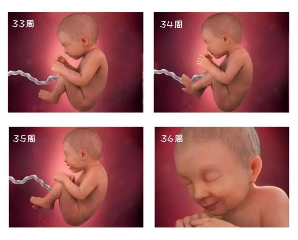 探索生命奥秘的导航图,探索生命的奥秘全彩图