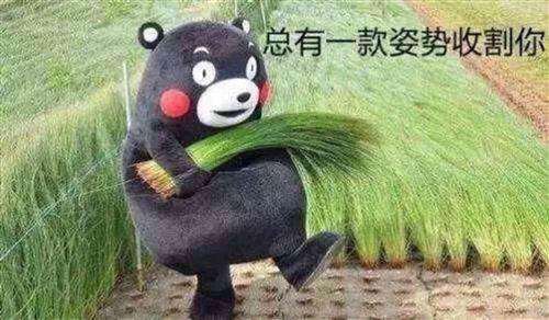 800w勇士dnf,dnf勇士现在怎么样了