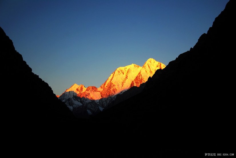 狼c调简谱教唱,狼c