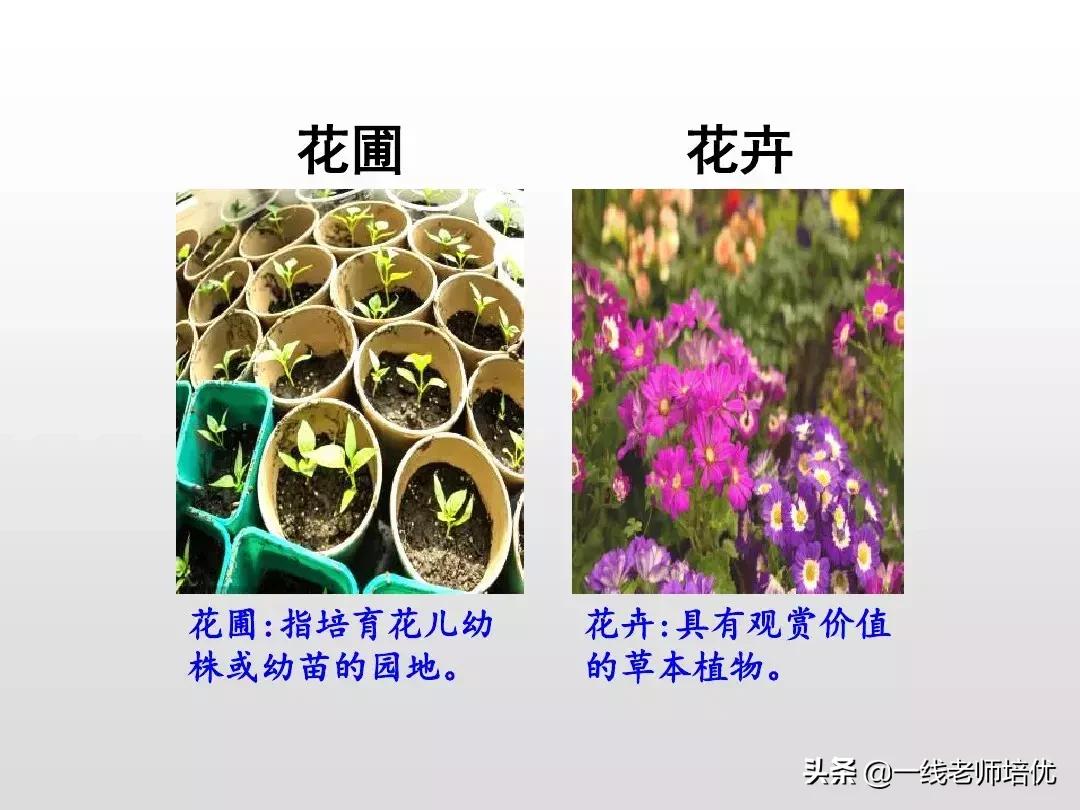 部编人教版四年级下册语文园地四,部编版四年级上册语文园地四复习