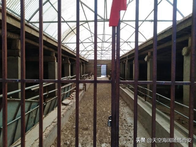 养殖大棚用的保温隔热材料,养殖大棚墙体用什么材料做最便宜