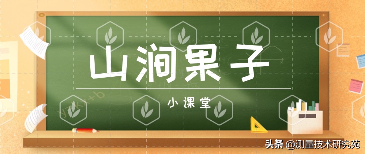 国产cad哪个版本好用,国产二维cad