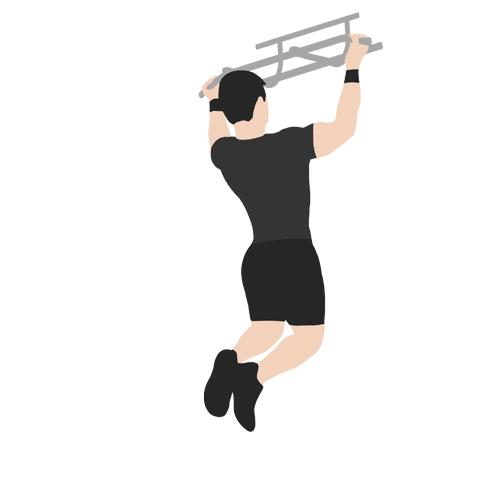 针对背部肌群的训练动作,背阔肌最佳背部训练动作