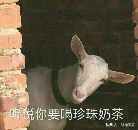 秋天的第一杯奶茶梗,朋友圈刷屏秋天第一杯奶茶什么梗