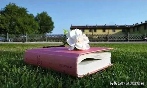 木心谈木心读后感800字,推荐木心文学回忆录