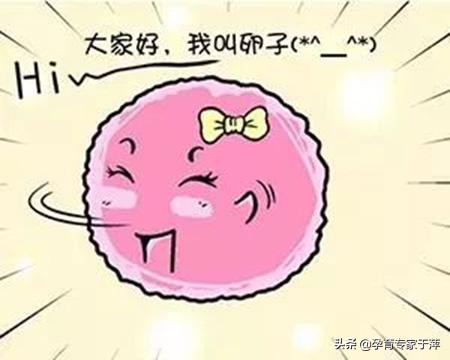 于萍,于萍最近的消息