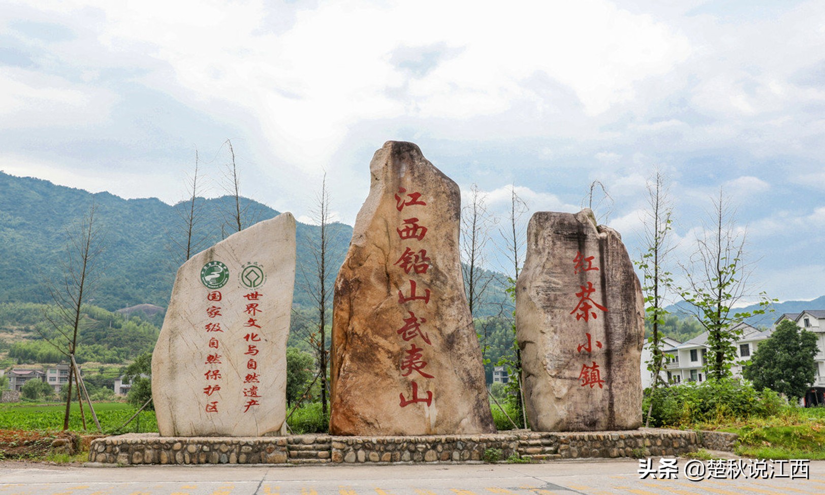 江西武陵红茶,江西最好的红茶