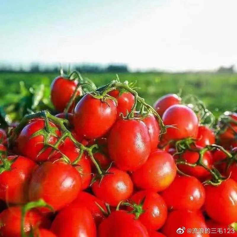 很好看的国货品牌,好吃的国货良心推荐