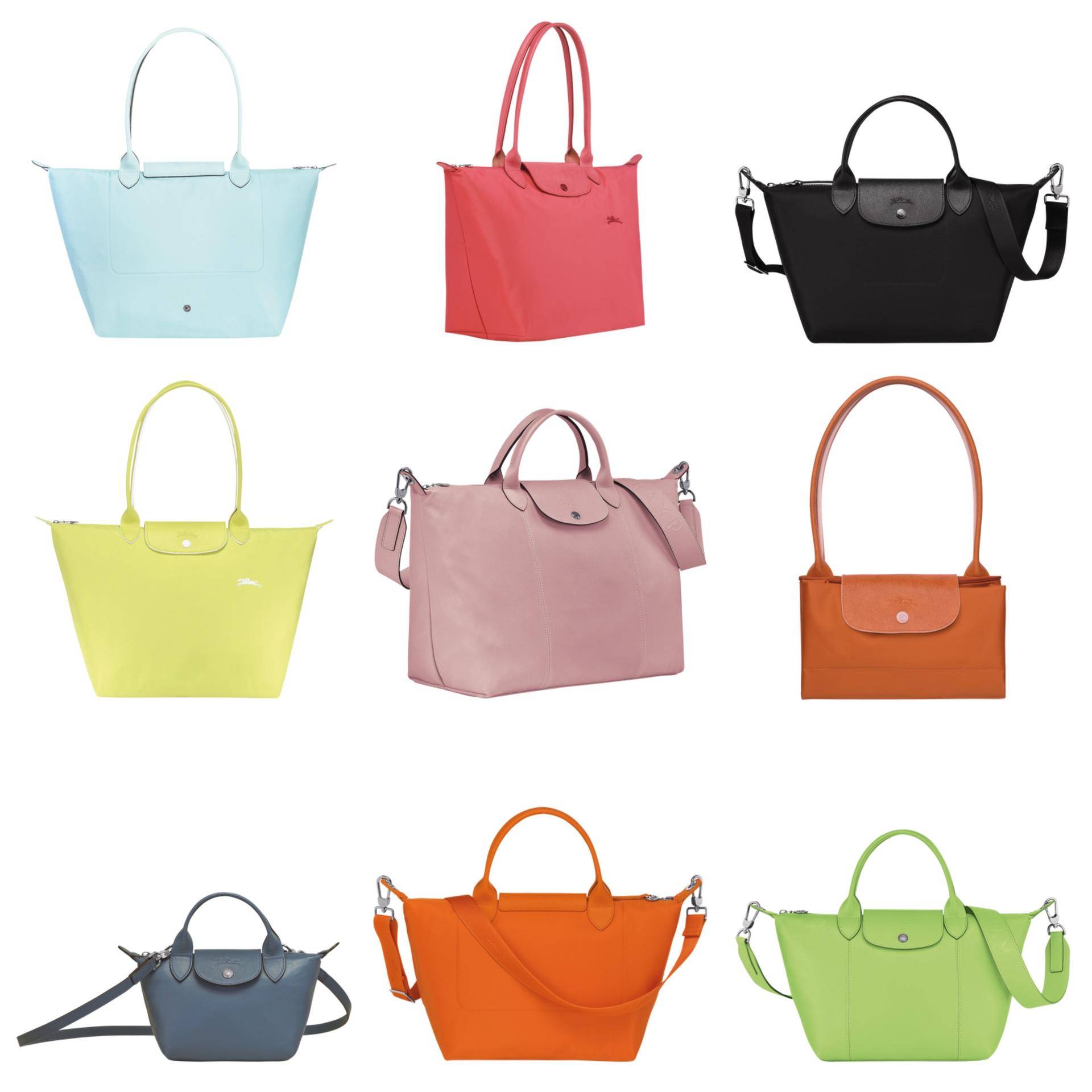 顾佳用奢侈品包包挤不进贵妇圈，纽约市民却用包把狗狗带上了地铁