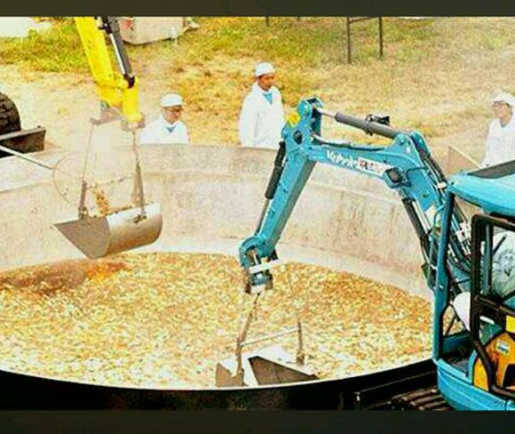 一分钟了解基金投资,简单易懂了解基金