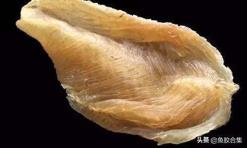 花胶的种类和区别,花胶一共有几种类型的品种