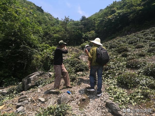 黄山最吓人景区,黄山爬山最吓人的地方