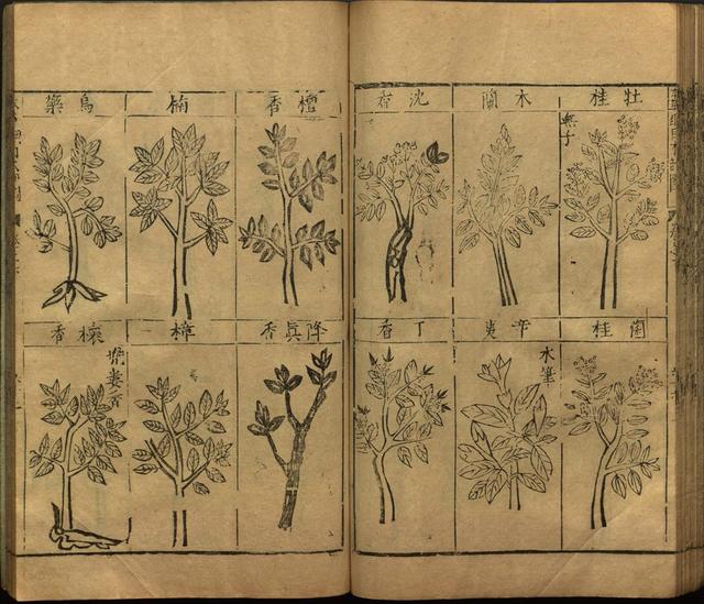 李时珍与本草纲目ppt课件,神农本草经正版李时珍书籍