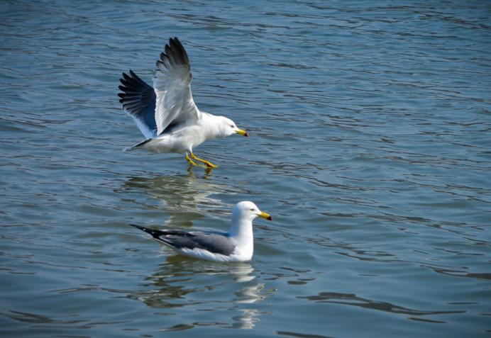 什么牌子的反渗透净水器好,反渗透的净水器哪个牌子比较好
