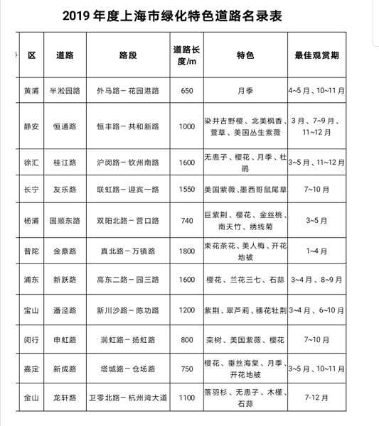 除了樱花，还有紫荆海棠红花檵木！上海多条绿化特色道路已到“最美观赏季”