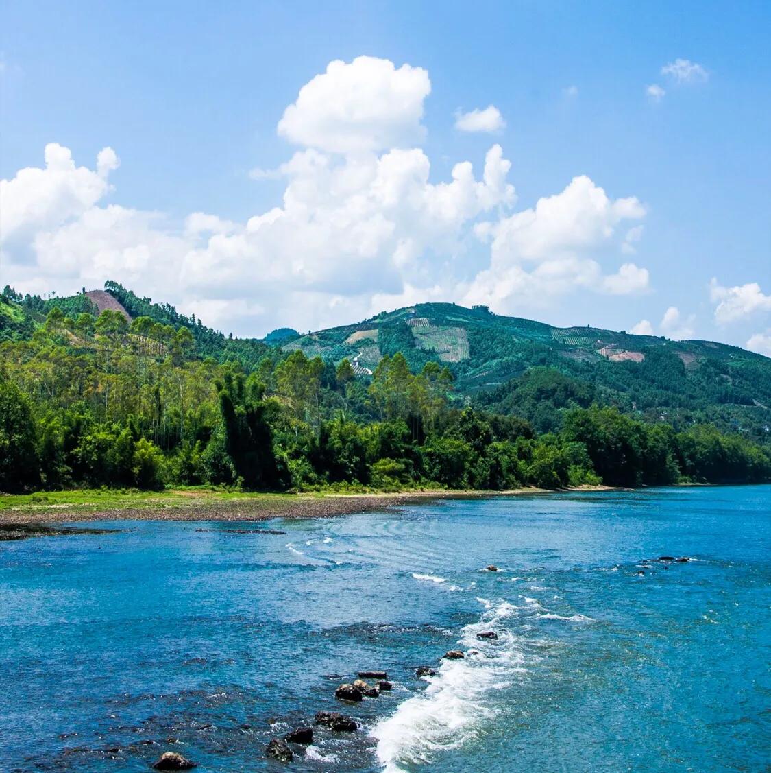 时常感觉孤独是怎么回事,怎么排解孤独的方法