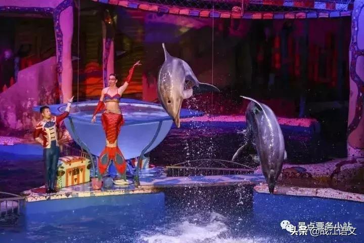 大连教师资格证免门票景区,大连哪些景点可以用教师证优惠