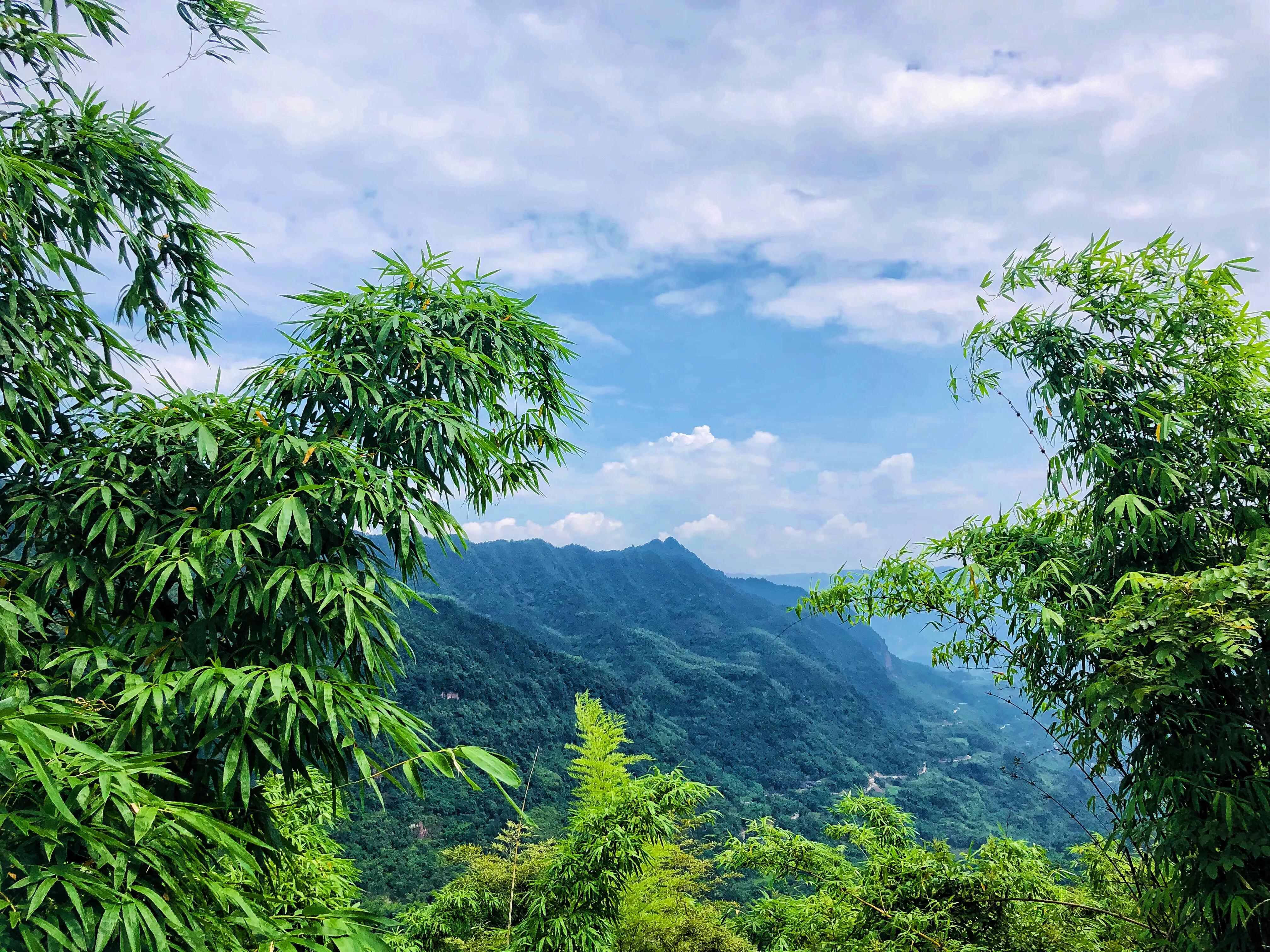 天屿湖适合避暑吗,天岛湖避暑旅游