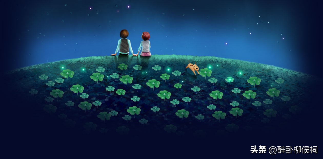 女博士的最佳选择,女博士最后悔的选择