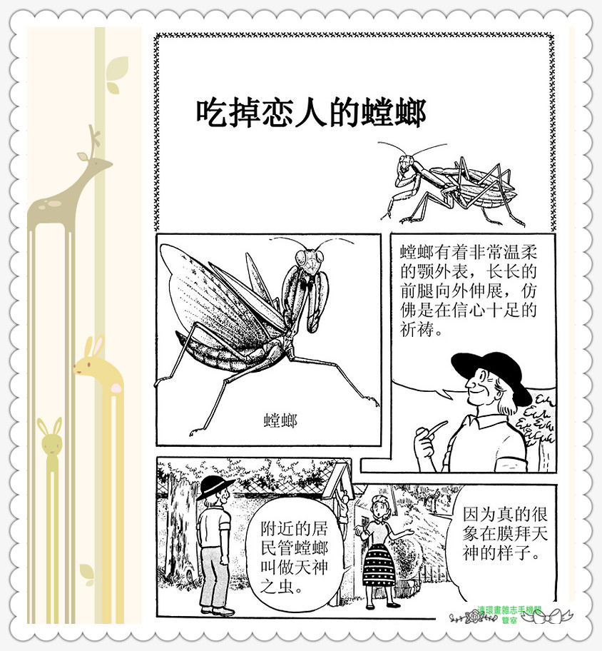 昆虫记法布尔动画片,昆虫记法布尔全套