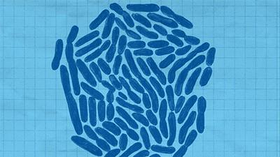 念珠菌的预防方法,念珠菌怎样预防