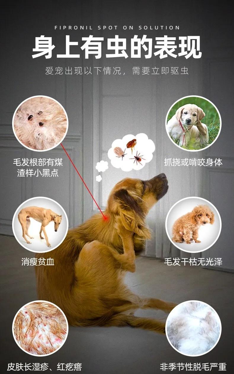 宠物寄生虫怎么预防传染人,宠物体外寄生虫虫卵怎么消灭