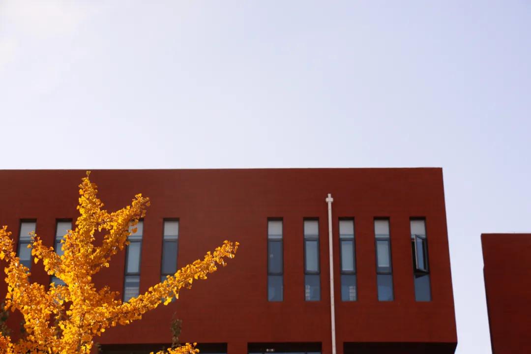 醉美大工秋|读书不觉已秋深，____________