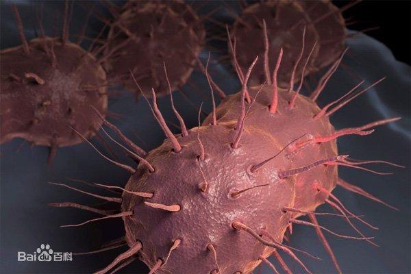 科普向——战“疫”进行时！三分钟看完世界病毒发现史！