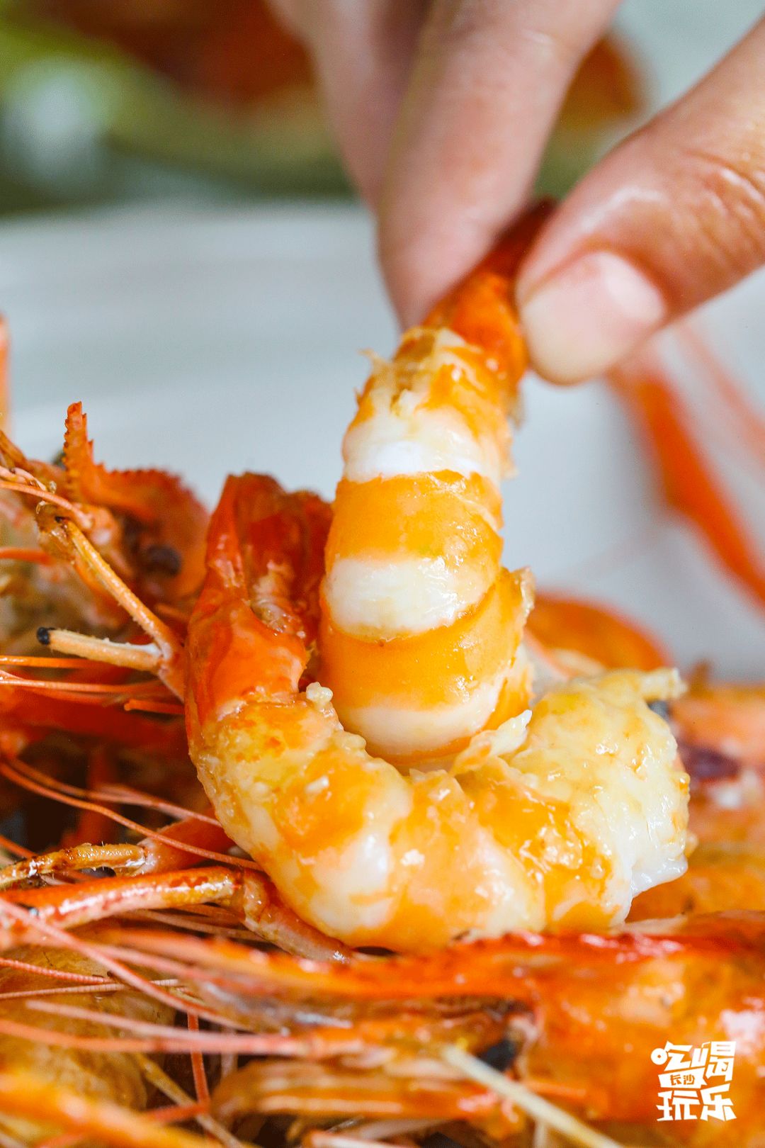 长沙城南绝美音乐餐厅!7.8折吃遍全国精致料理