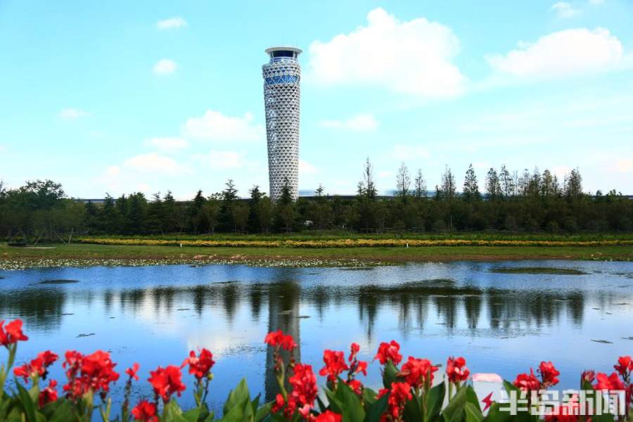 青岛胶东机场航站楼攻略,青岛胶东机场真实感受