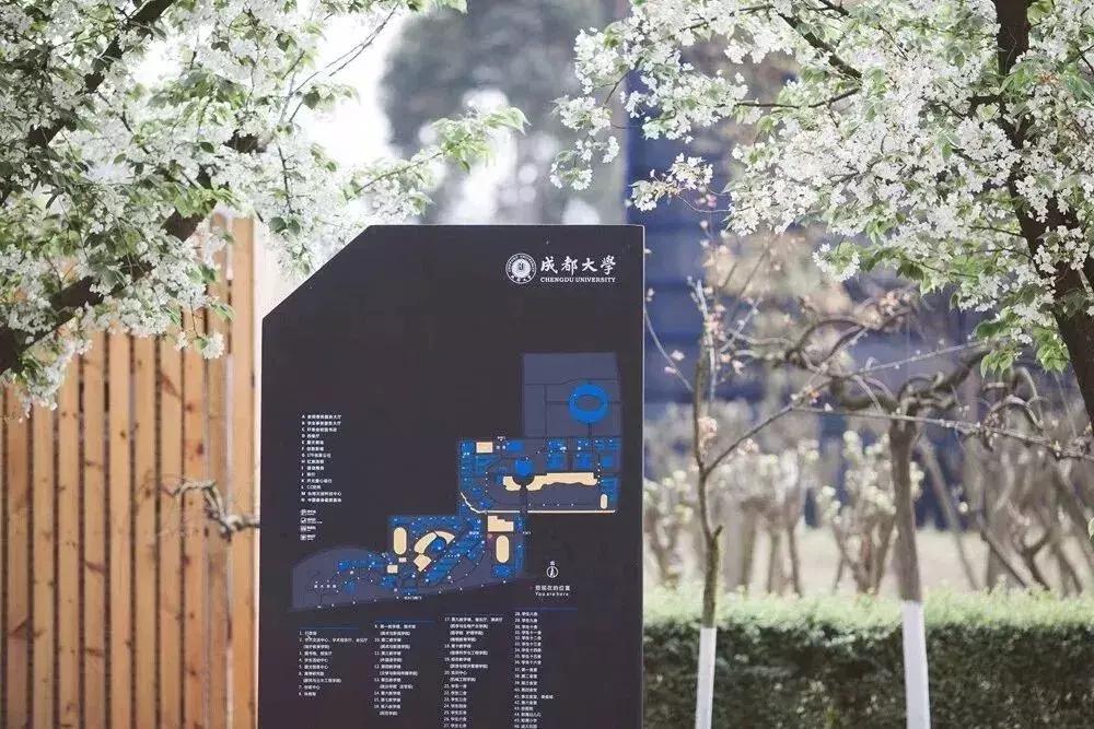 鲜橙攻略丨成都大学校园环境篇