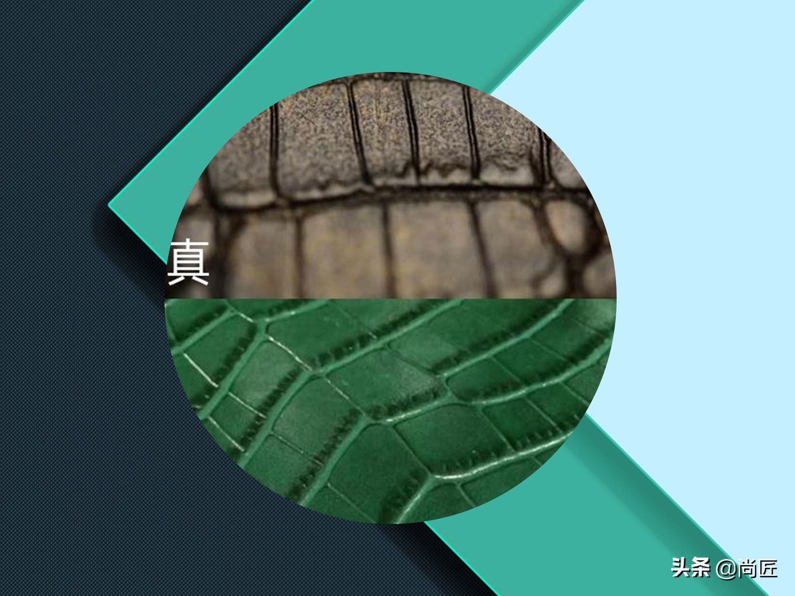 头层牛皮和鳄鱼皮价格比较,鳄鱼皮对比头层牛皮耐用