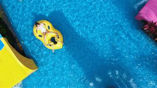 福建泉州聚龙小镇温泉公园：岩脉温泉中药花瓣池亲子戏水区