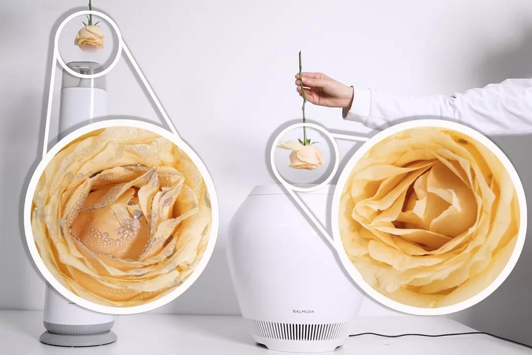 巴慕达rain加湿器,巴慕达Rain加湿器功能讲解