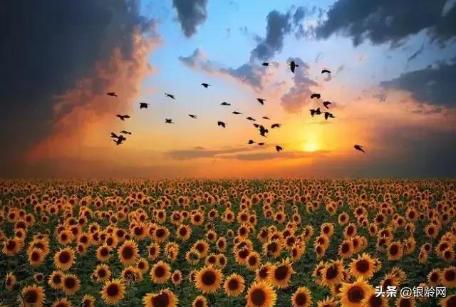 老年人生日发朋友圈短句子,送给老年朋友的心胸宽广的句子