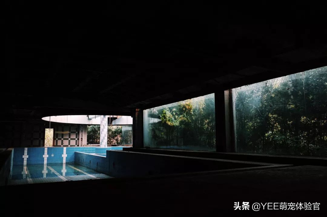 观赏鱼身上白点什么病怎么治疗,观赏鱼身上有白色斑点是怎么回事