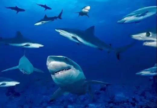 此生必去最美的地方,此生必去的四个海