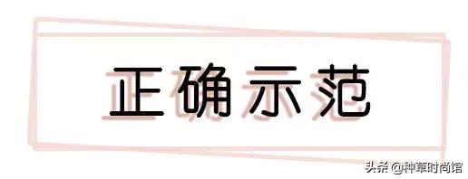 裙子不要开叉,裙子不能乱穿