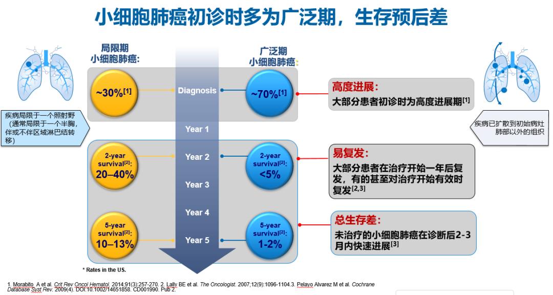 小细胞肺癌11年的真实经验,小细胞肺癌5年存活率高吗