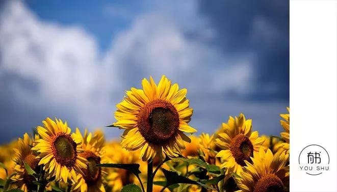 怎么治脾气上来就说狠话的人,怎么治得住脾气暴躁的人