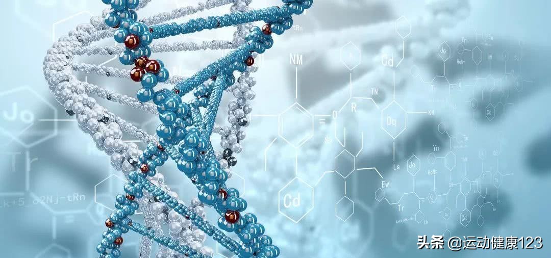 预防恶性肿瘤，从避免或减少细胞恶变的致癌因素着手