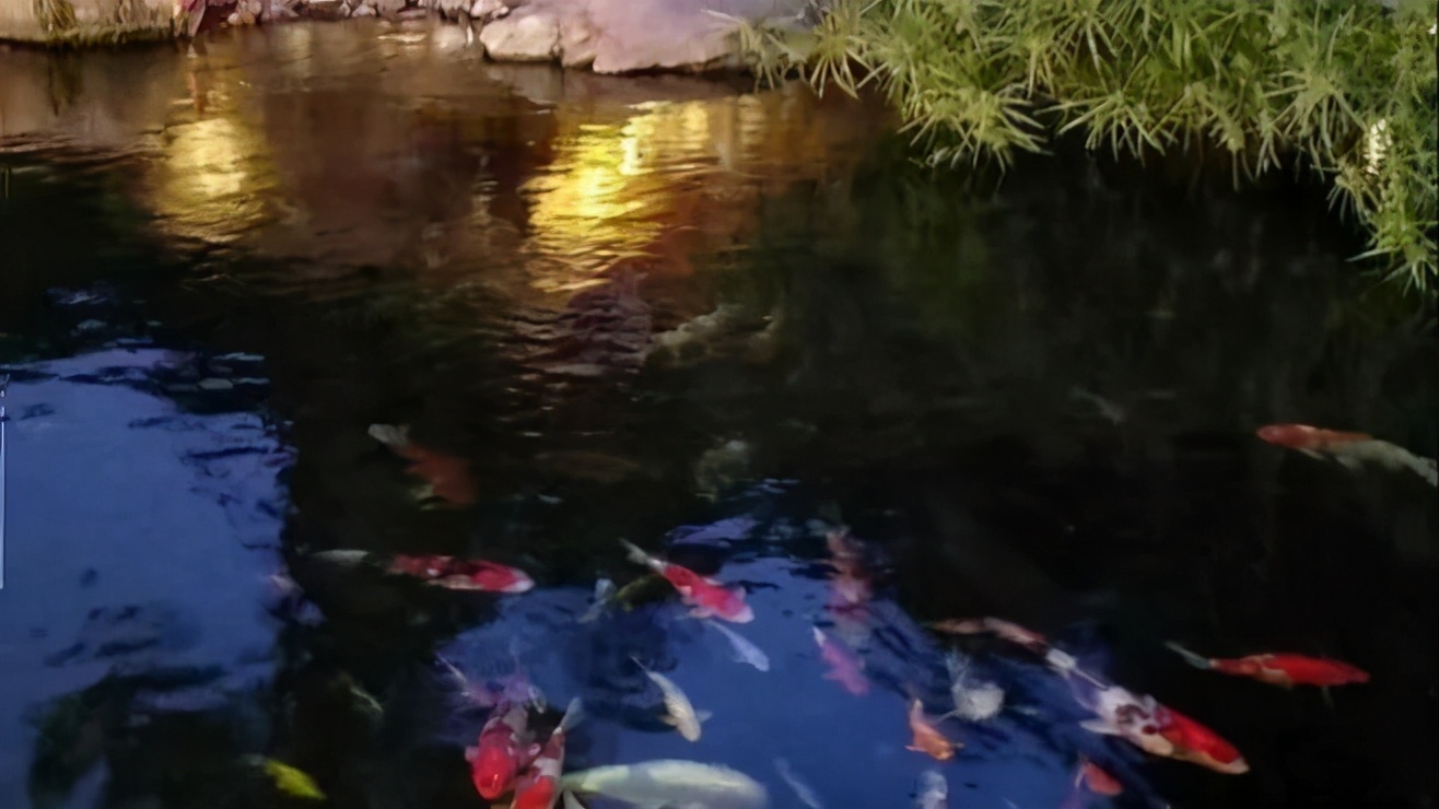 鱼池封碱后还要除碱吗,鱼池除碱最快最好的方法