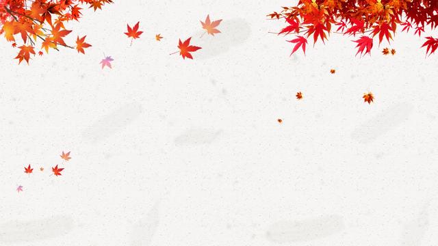 做ppt有什么好的背景图片,ppt背景图片无水印高清