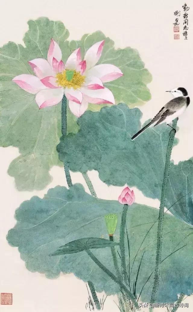 直戳心底的经典诗词,触景生情的诗词