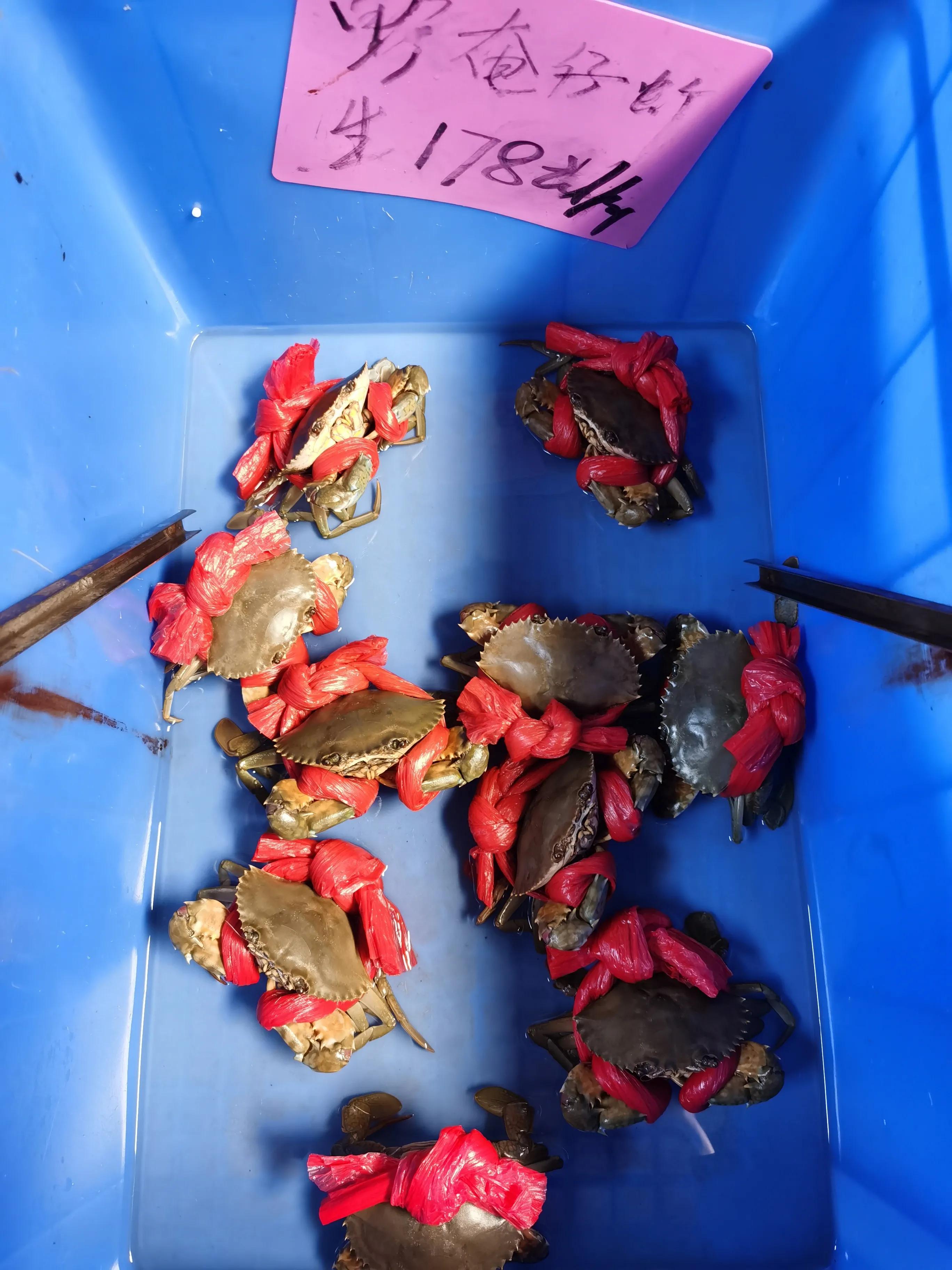 珠海偏僻人少的赶海地,珠海沙滩晚上露营赶海最佳地方