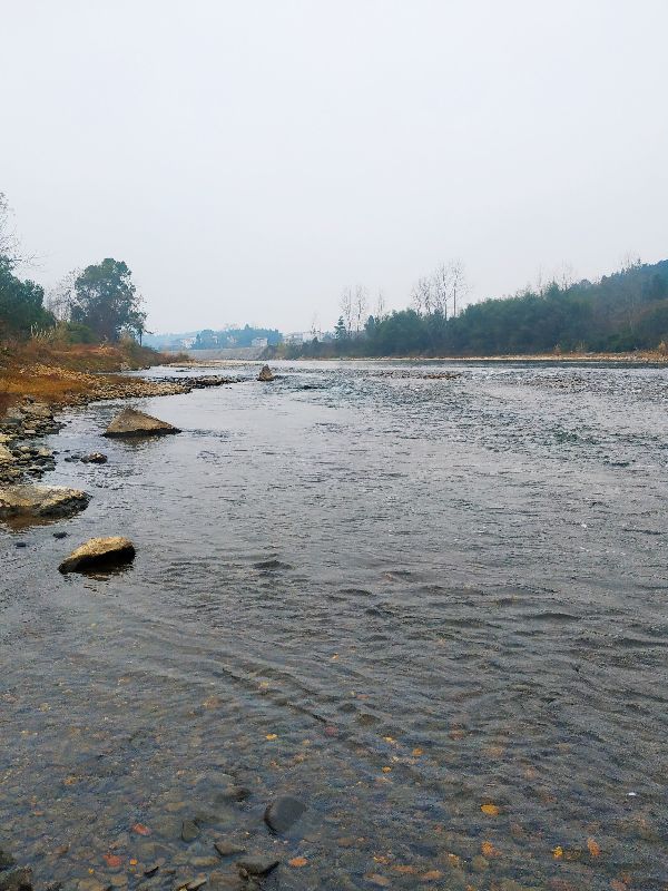 乐山小吃美食萝卜,特色小吃萝卜