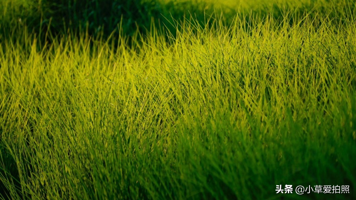 濞佹捣缇婁涵鍏洯鑺傚亣鏃ユ父,濞佹捣缇婁涵婀垮湴鍏洯閲庨