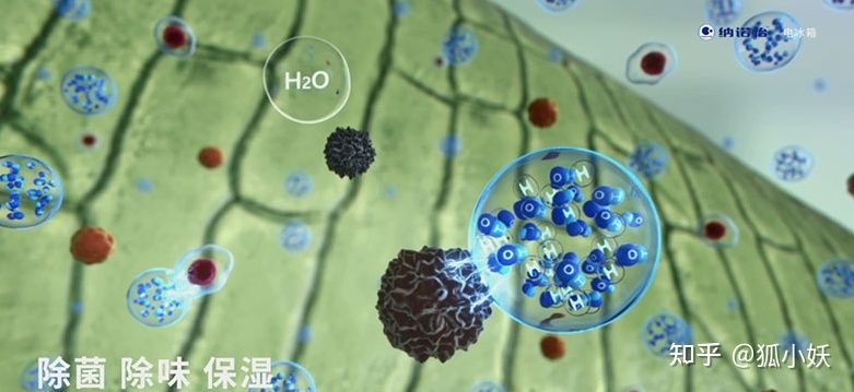 2022年卡萨帝冰箱最全选购攻略,多门冰箱推荐2023高端冰箱