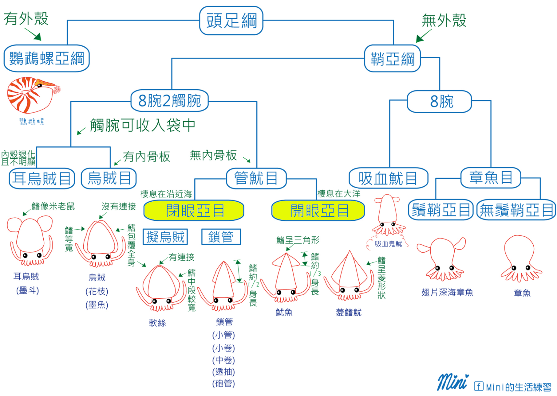 海鲜认知大全,海鲜认知大全虾