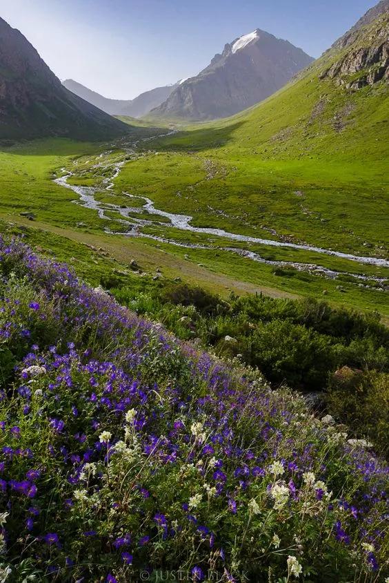 中国至今没被认全的20个邻居,个个身怀宝藏,你知道几个?